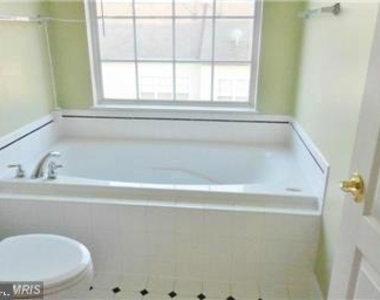 13599 Flying Squirrel Drive - Photo Thumbnail 11