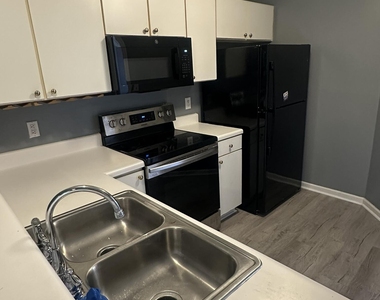 320 Bubble Creek Court - Photo Thumbnail 11