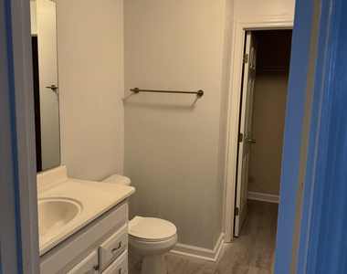 320 Bubble Creek Court - Photo Thumbnail 14