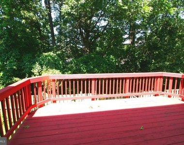 19608 White Saddle Drive - Photo Thumbnail 16