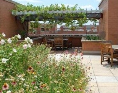 631 D Street Nw - Photo Thumbnail 46