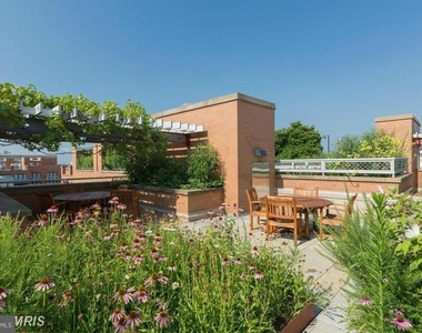 631 D Street Nw - Photo Thumbnail 44