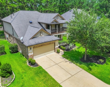 79 W Jagged Ridge Circle - Photo Thumbnail 45