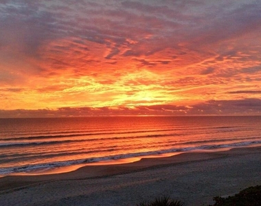 2505 Bay Boulevard - Photo Thumbnail 49