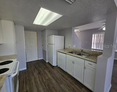 103 Coconut Palm Way - Photo Thumbnail 3