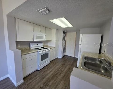 103 Coconut Palm Way - Photo Thumbnail 4