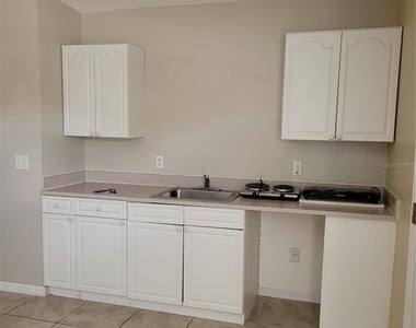 1325 Washington Palm Loop - Photo Thumbnail 3