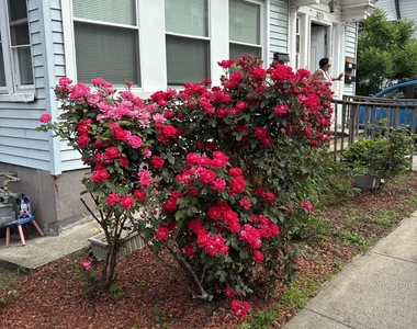 249 Lincoln Street - Photo Thumbnail 1