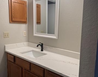 1009 Danforth Court - Photo Thumbnail 13