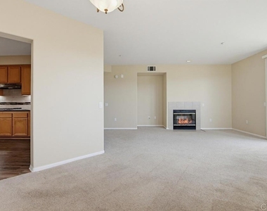 823 Kalpati Cir - Photo Thumbnail 13