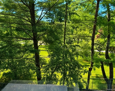 16 Lake Street - Photo Thumbnail 7
