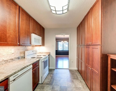 203 Yoakum Parkway - Photo Thumbnail 14