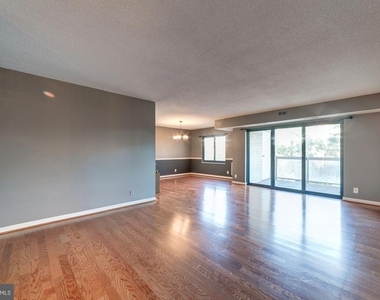 203 Yoakum Parkway - Photo Thumbnail 7