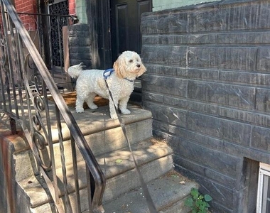 2225 Reed St - Photo Thumbnail 11