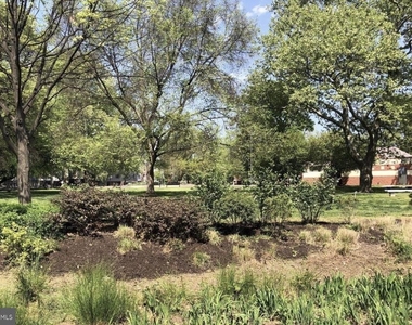 2225 Reed St - Photo Thumbnail 12