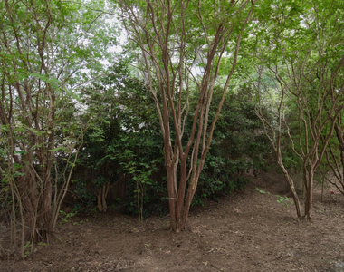 4809 Landover Pine Place - Photo Thumbnail 12