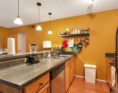 910 Duncan Ln - Photo Thumbnail 8