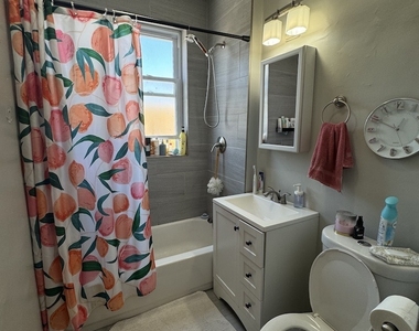 2912 N Albany Avenue - Photo Thumbnail 13