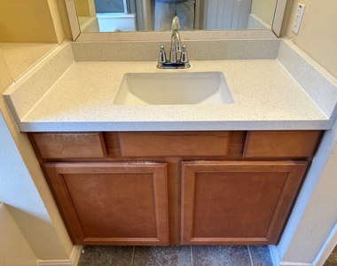 2601 Easton Springs Court - Photo Thumbnail 20