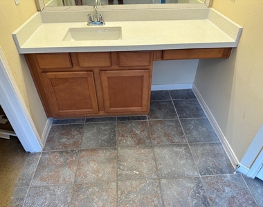 2601 Easton Springs Court - Photo Thumbnail 21