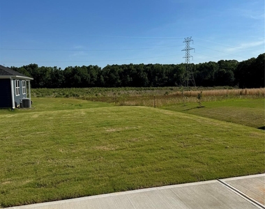 1020 Cunningham Farm Drive - Photo Thumbnail 17