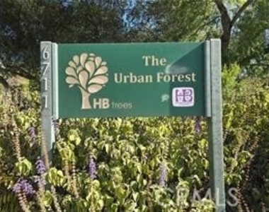17452 Mayor - Photo Thumbnail 64