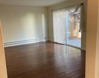 1132 Paloma - Photo Thumbnail 4