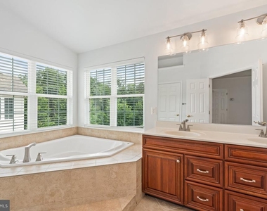 20056 Northville Hills Terrace - Photo Thumbnail 19
