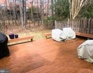 1303 Park Garden Lane - Photo Thumbnail 13