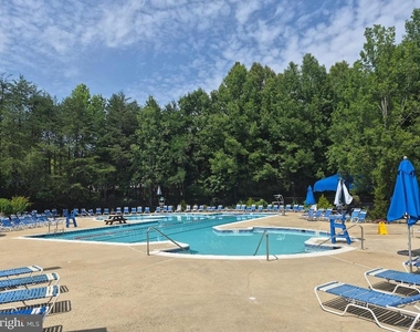 1303 Park Garden Lane - Photo Thumbnail 17