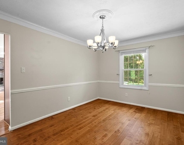 4650 Palomino Court - Photo Thumbnail 10