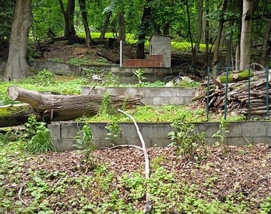 350 Bedford Street - Photo Thumbnail 10