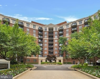3401 38th Street Nw - Photo Thumbnail 6