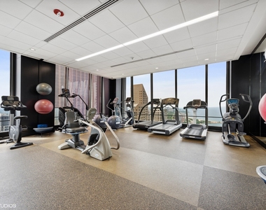 175 E Delaware Place - Photo Thumbnail 25