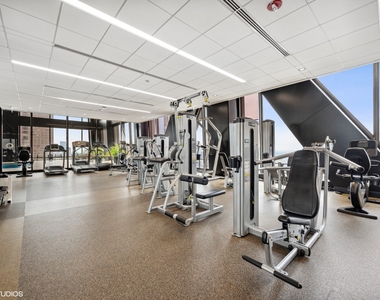 175 E Delaware Place - Photo Thumbnail 23