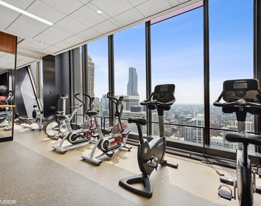 175 E Delaware Place - Photo Thumbnail 24