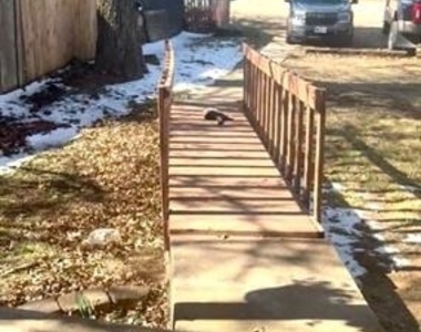 1126 Kingston Drive - Photo Thumbnail 23