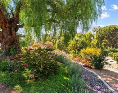 20063 Elfin Forest Lane - Photo Thumbnail 5