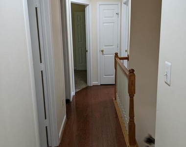 5569 Assateague Place - Photo Thumbnail 21