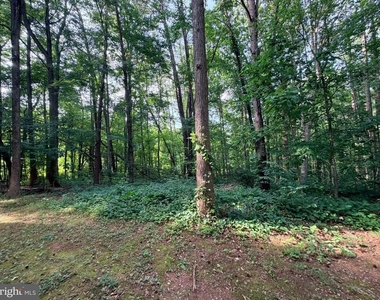 6610 Netties Lane - Photo Thumbnail 2
