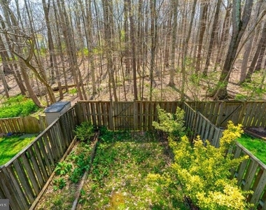 9013 Kerrydale Court - Photo Thumbnail 46