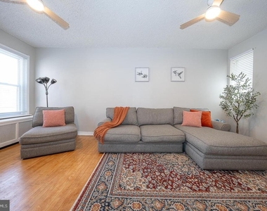 418 Harlan Street - Photo Thumbnail 4
