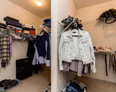 207 Brinley Court - Photo Thumbnail 12