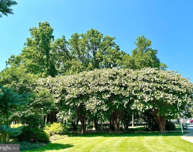 3310 N Leisure World Boulevard - Photo Thumbnail 37
