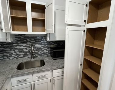 1255 N Sandburg Terrace - Photo Thumbnail 11