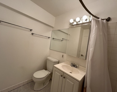 1255 N Sandburg Terrace - Photo Thumbnail 15
