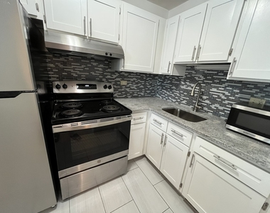 1255 N Sandburg Terrace - Photo Thumbnail 8