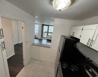 1255 N Sandburg Terrace - Photo Thumbnail 10
