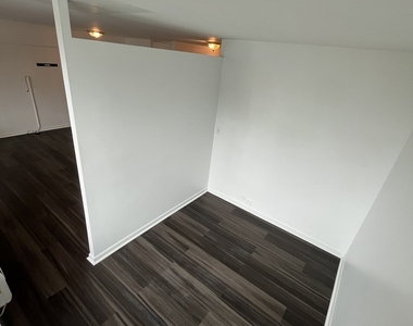 1255 N Sandburg Terrace - Photo Thumbnail 18