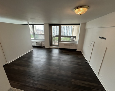 1255 N Sandburg Terrace - Photo Thumbnail 12
